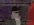 1778607650689.webp