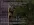 1778607785806.webp