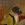 2026-05-13-00-35-06.webp