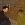 2026-05-13-00-41-34.webp