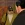 2026-05-13-00-53-34.webp
