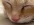 OvptzS8MP0VCHzwxcqclFZg4y-DHGGFVfm5d9I1bxTJmT4n0Lm7qCX3lQpIg8aDA_AU1xr9aLzC9kXhEBcDzPnC7.webp
