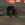 2026-05-11-13-36-38 копия.webp