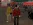 2026-05-12-23-41-23 копия.webp