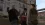 белки9.webp