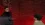 17.webp