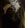 71hF.gif