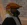 1778766738772.webp