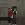 2026-05-14-20-30-55 копия.webp