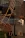 003.webp