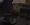 111.webp
