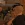 2026-05-17-00-18-21.webp