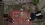 план6.webp
