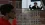 2026-05-18-17-57-40 копия.webp