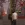 2026-05-20-00-28-01 копия.webp
