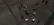 bloodzvstongs.webp