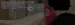 d3.webp