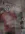 d4.webp
