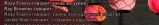 1779392515440.webp