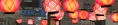 1779629444489.webp
