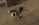 1779640118760.webp