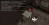 7.webp