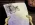 1779664024935.webp