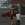 2026-05-25-23-41-50 копия.webp