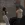 2026-05-26-21-21-50 копия.webp