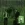 10.webp