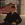 2026-05-29-00-52-17.webp
