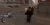 5.webp