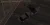 11.webp