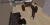 22.webp
