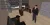 23.webp