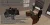 35.webp