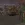 5.webp