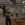 5.webp