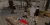 6.webp