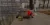 13.webp