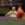 2026-06-03-20-26-26.webp