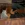2026-06-05-02-02-30.webp
