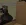 1780659689232.webp