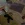 2026-06-06-01-08-20.webp