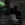 1780695267698.webp
