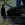 11.webp