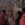 8.webp
