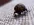 IMG_3019.webp
