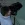2026-06-07-01-48-50.webp