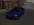 2026-06-07-17-24-24 копия.webp